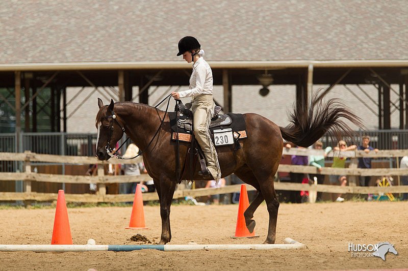 4H-2nd-Show-11_1623.jpg