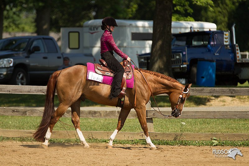 4H-2nd-Show-11_1159.jpg