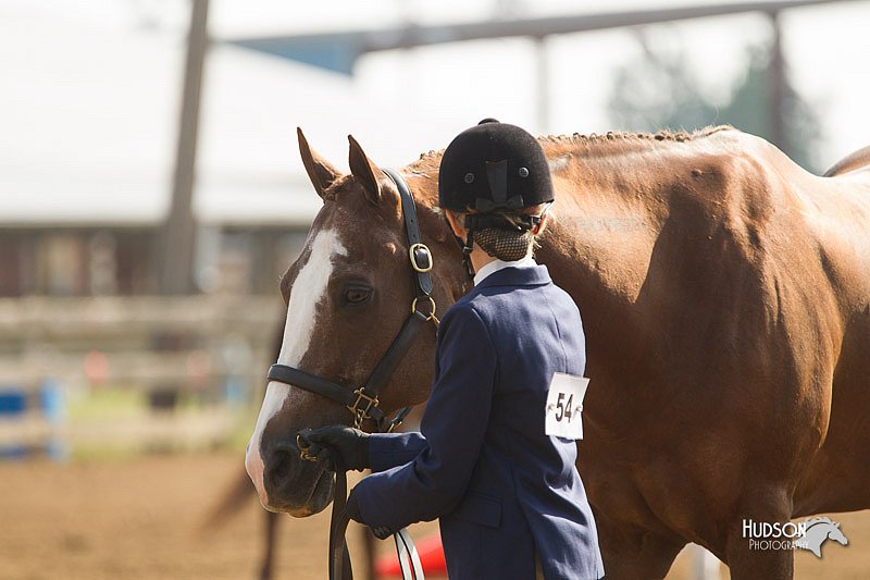4H-3rd-Show-11_0835.jpg