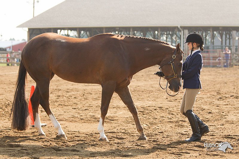 4H-3rd-Show-11_0836.jpg