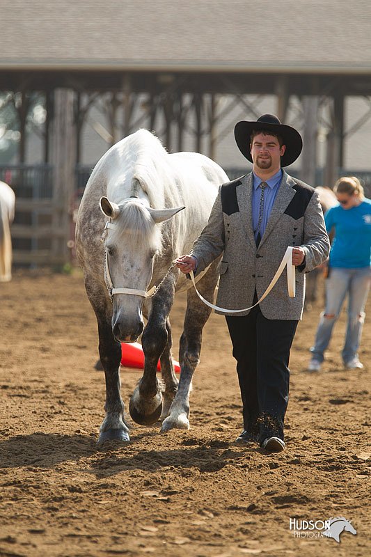 4H-3rd-Show-11_0856.jpg