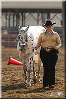 4H-3rd-Show-11_0859.jpg