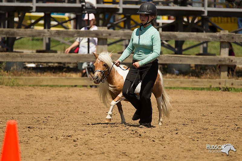 4H-3rd-Show-11_1355.jpg