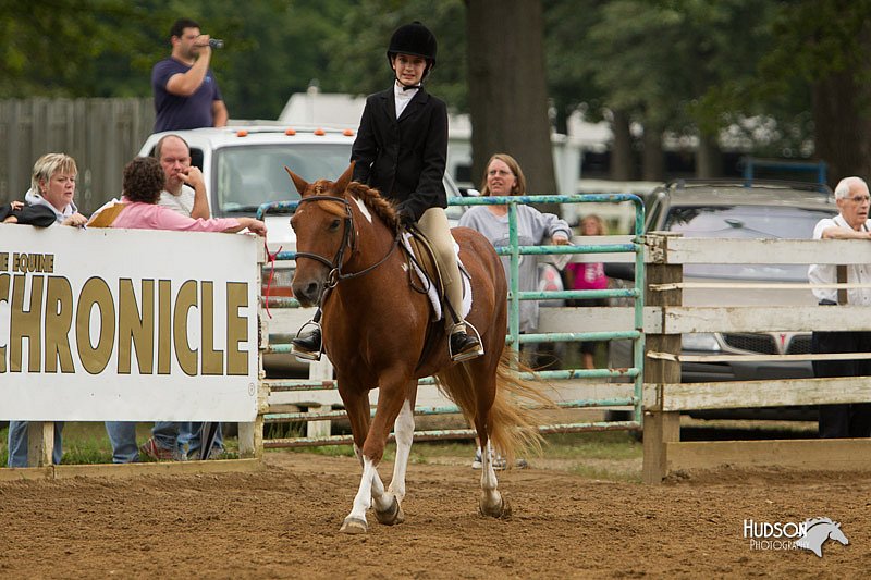 4H-Districts-11_1562.jpg