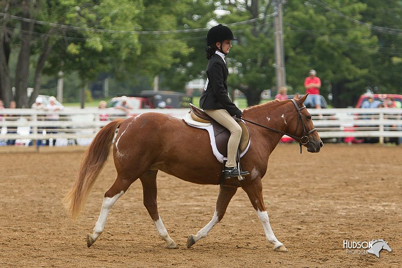 4H-Districts-11_1580.jpg