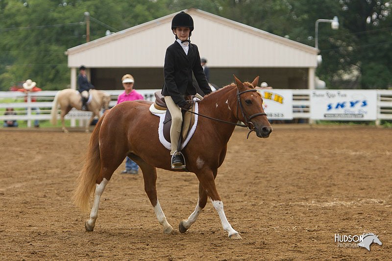 4H-Districts-11_1581.jpg