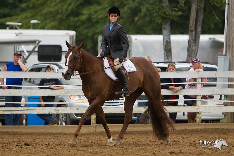 4H-Districts-11_1582.jpg