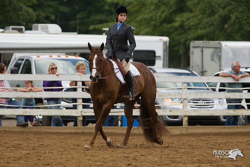 4H-Districts-11_1583.jpg
