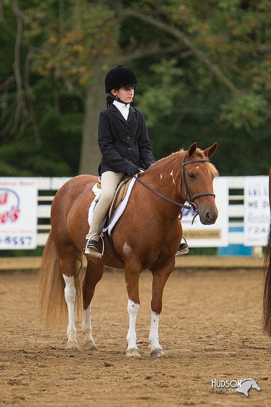 4H-Districts-11_1586.jpg