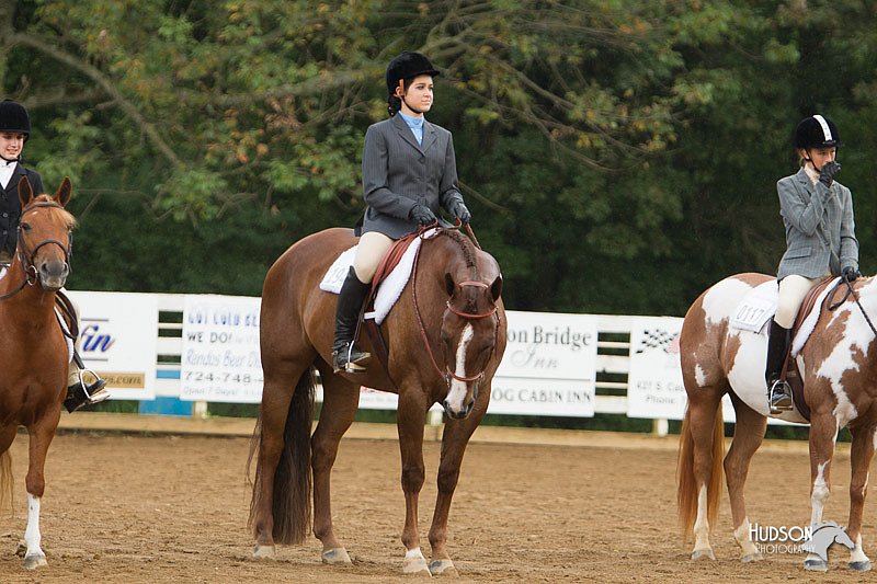 4H-Districts-11_1587.jpg