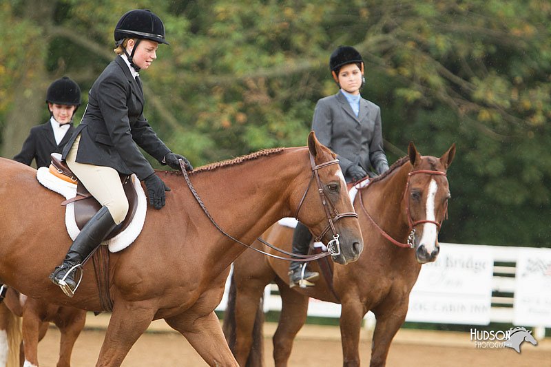 4H-Districts-11_1590.jpg