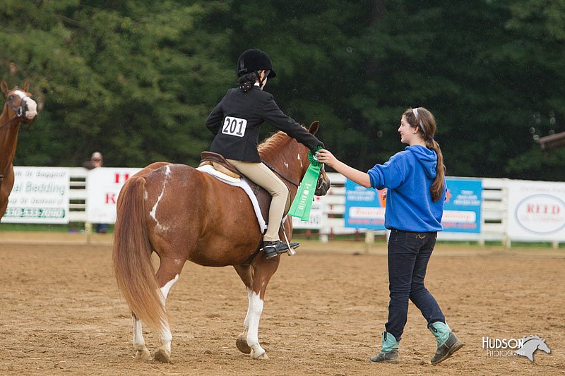 4H-Districts-11_1593.jpg