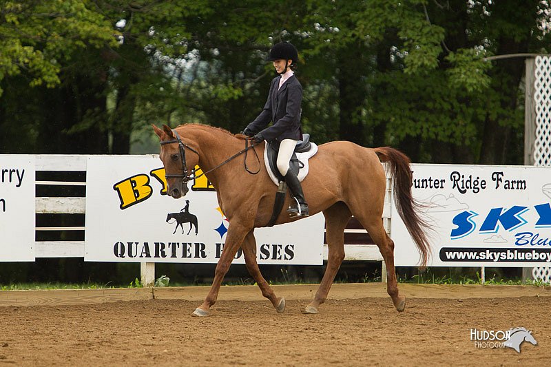 4H-Districts-11_1606.jpg