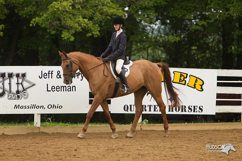 4H-Districts-11_1607.jpg