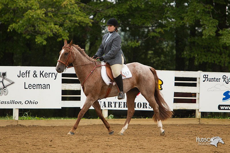 4H-Districts-11_1609.jpg