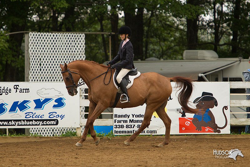 4H-Districts-11_1620.jpg