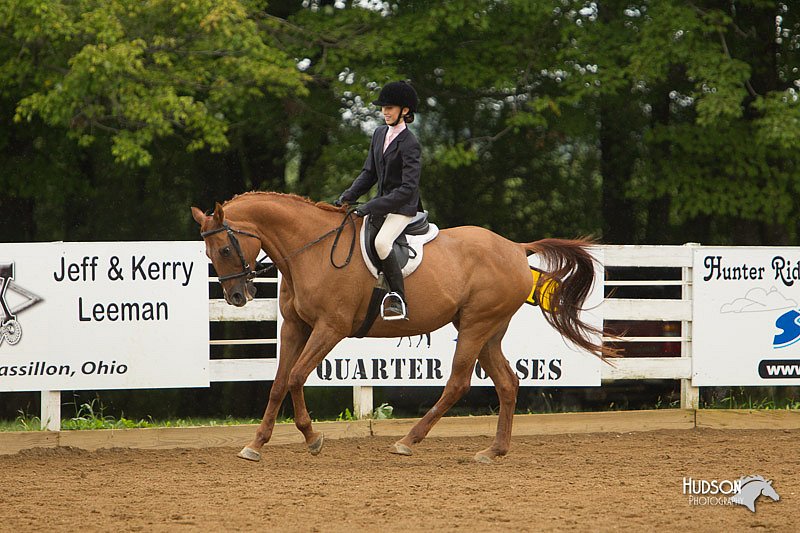 4H-Districts-11_1621.jpg
