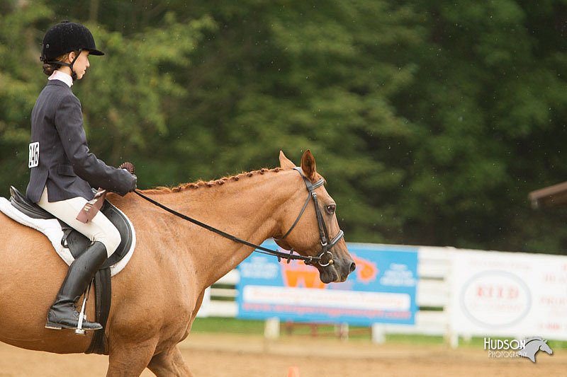 4H-Districts-11_1629.jpg