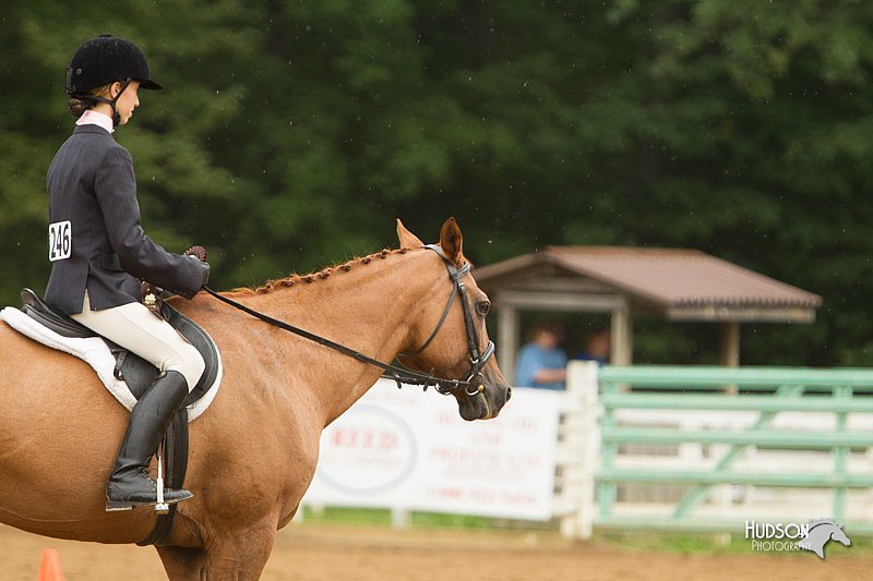 4H-Districts-11_1630.jpg