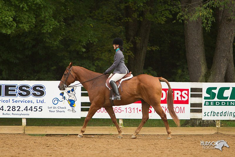 4H-Districts-11_1631.jpg