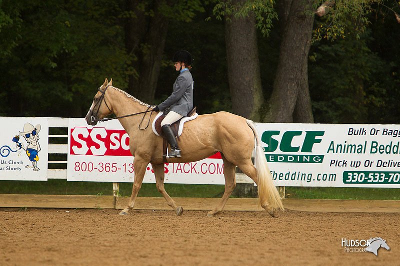 4H-Districts-11_1634.jpg