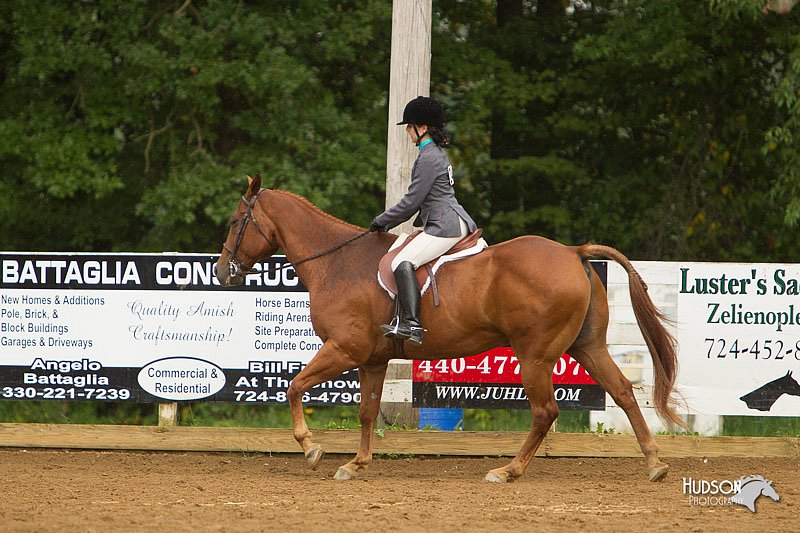 4H-Districts-11_1635.jpg