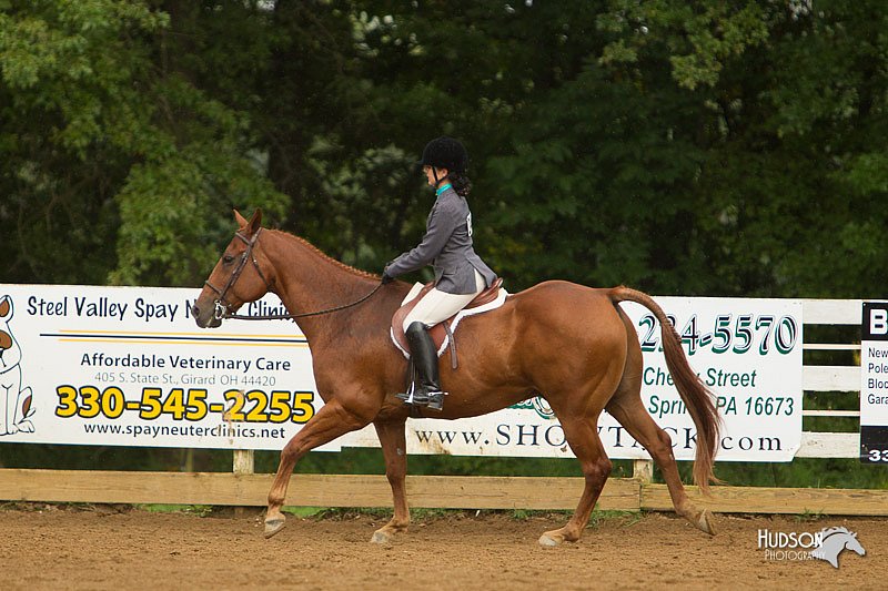 4H-Districts-11_1636.jpg