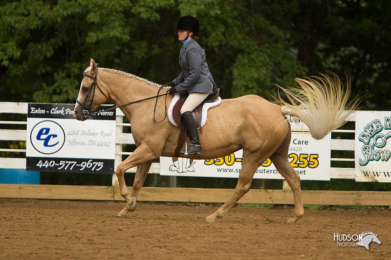 4H-Districts-11_1637.jpg