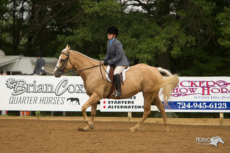 4H-Districts-11_1638.jpg