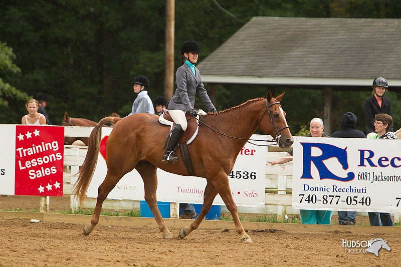 4H-Districts-11_1644.jpg