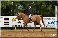 4H-Districts-11_1606.jpg