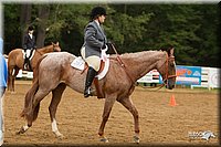 4H-Districts-11_1624.jpg