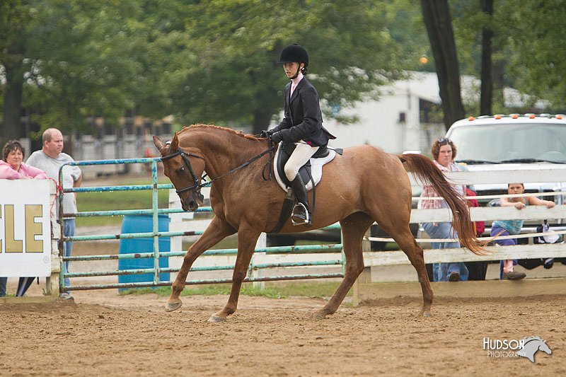 4H-Districts-11_1480.jpg
