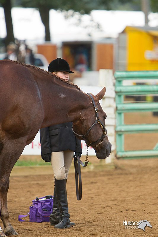 4H-Districts-11_1315.jpg