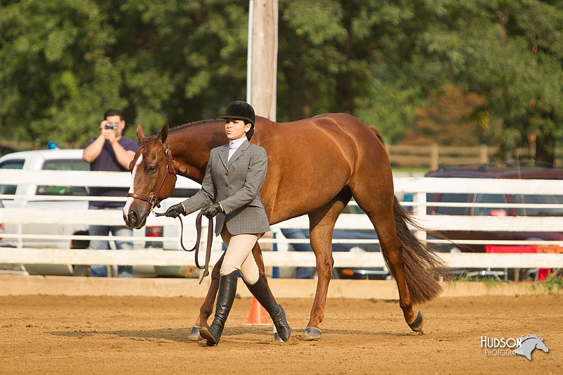 4H-Districts-11_1316.jpg