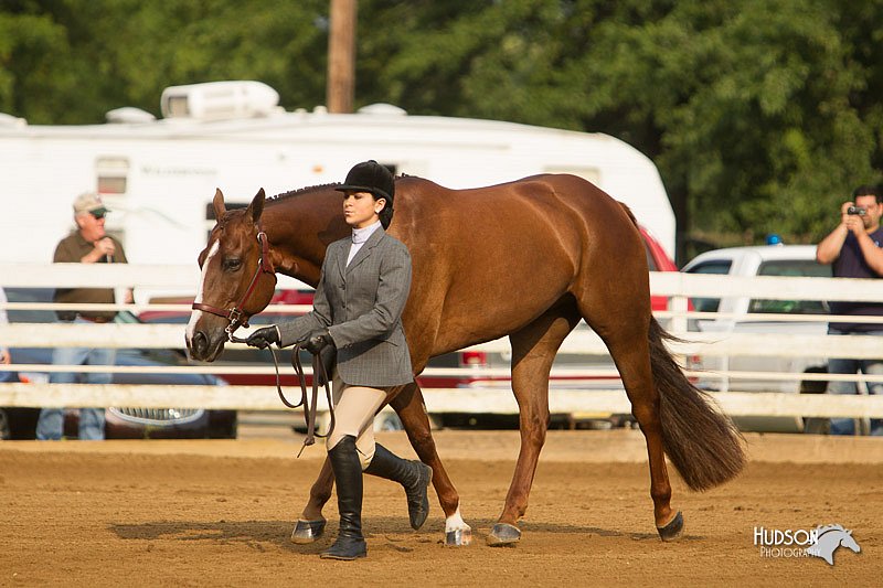 4H-Districts-11_1317.jpg