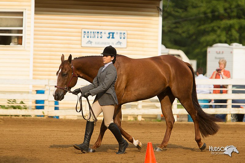 4H-Districts-11_1318.jpg