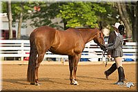 4H-Districts-11_1321.jpg