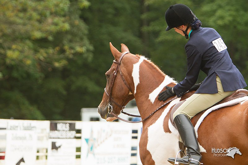 4H-Districts-11_0782.jpg
