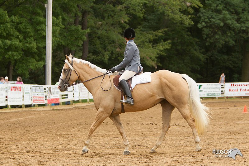 4H-Districts-11_0846.jpg