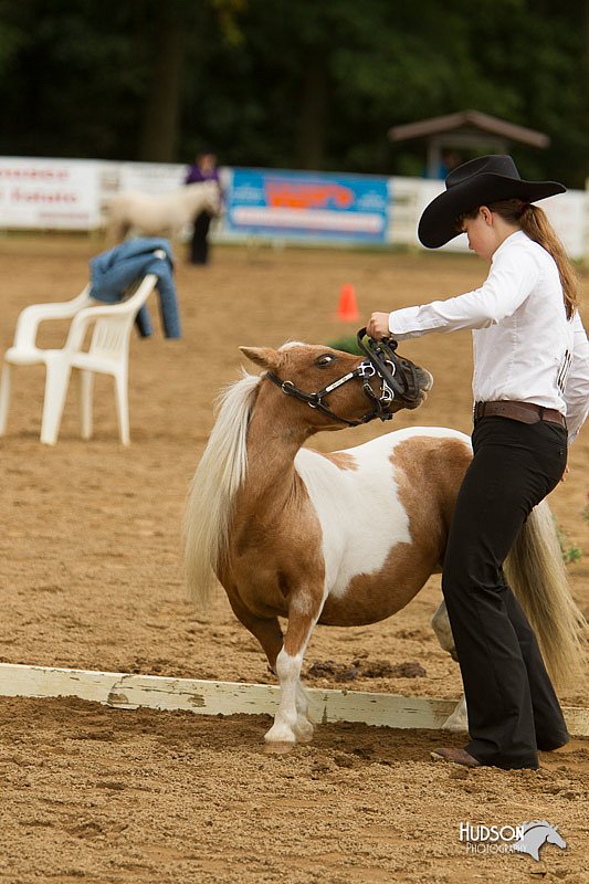 4H-Districts-11_0940.jpg
