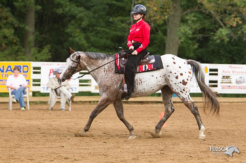 4H-Districts-11_1208.jpg