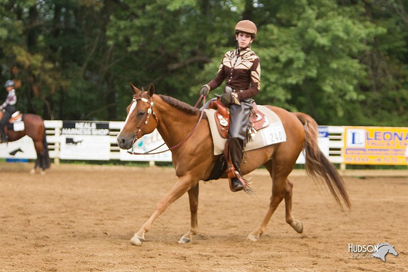 4H-Districts-11_1215.jpg