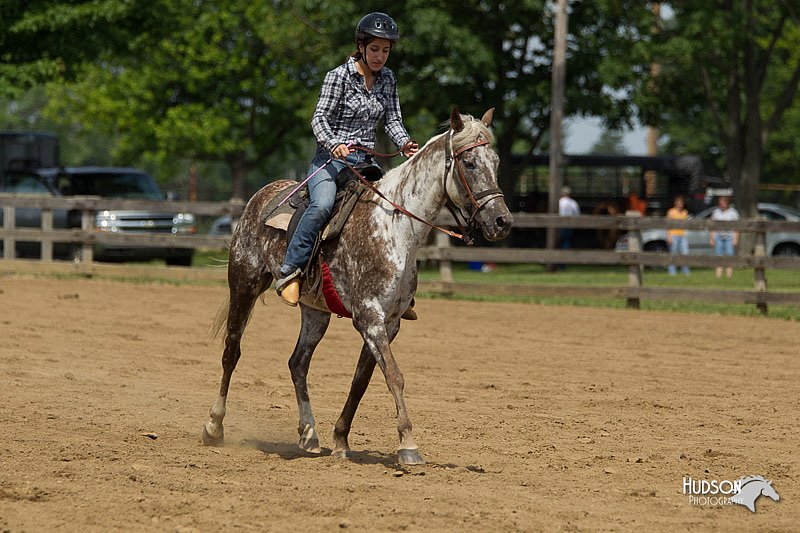 4H-Fun-Show-11_0331.jpg
