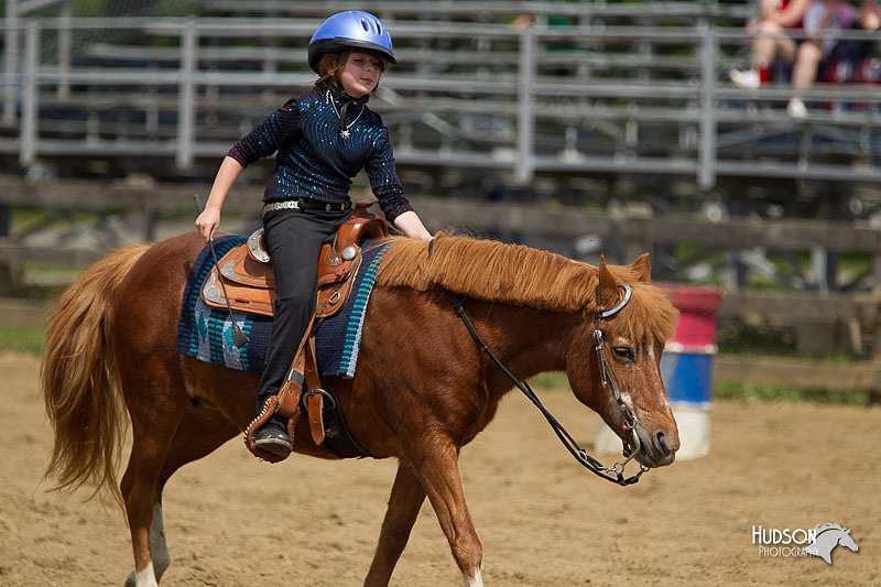 4H-Fun-Show-11_0343.jpg