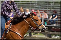 4H-Fun-Show-11_0220.jpg
