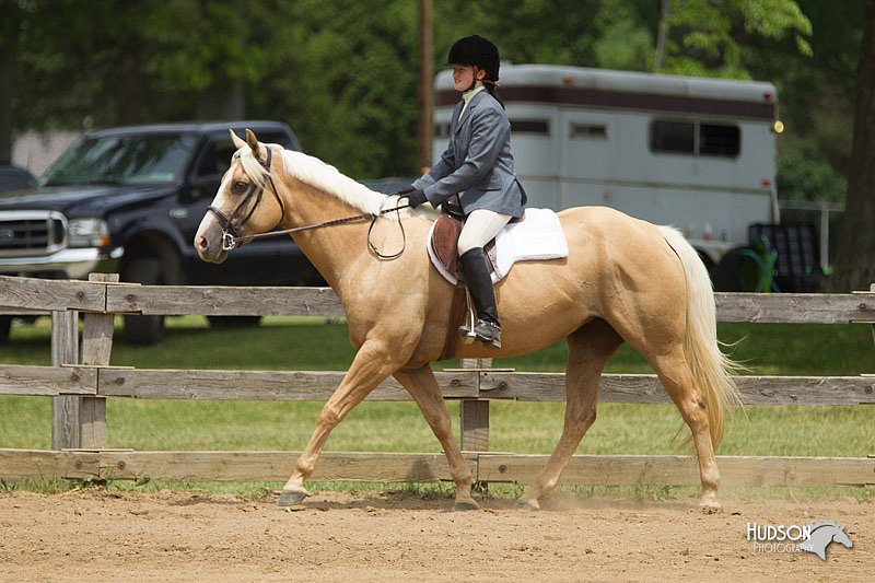 4H-Fun-Show-11_0467.jpg