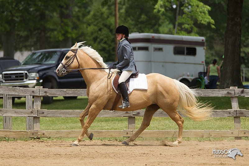 4H-Fun-Show-11_0477.jpg