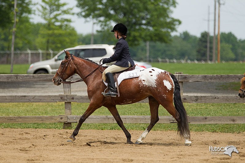 4H-Fun-Show-11_0530.jpg