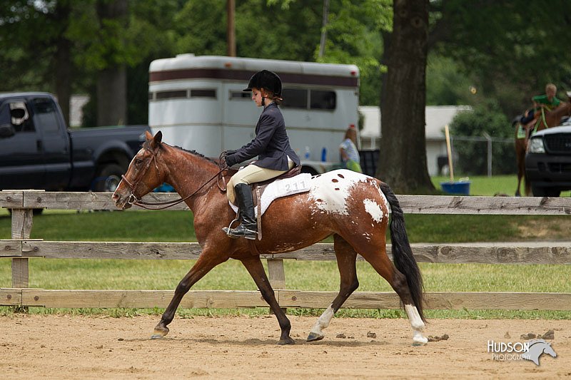 4H-Fun-Show-11_0531.jpg